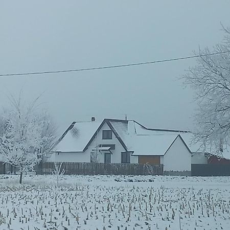 Casuta Din Deal 티르구 네암트 외부 사진